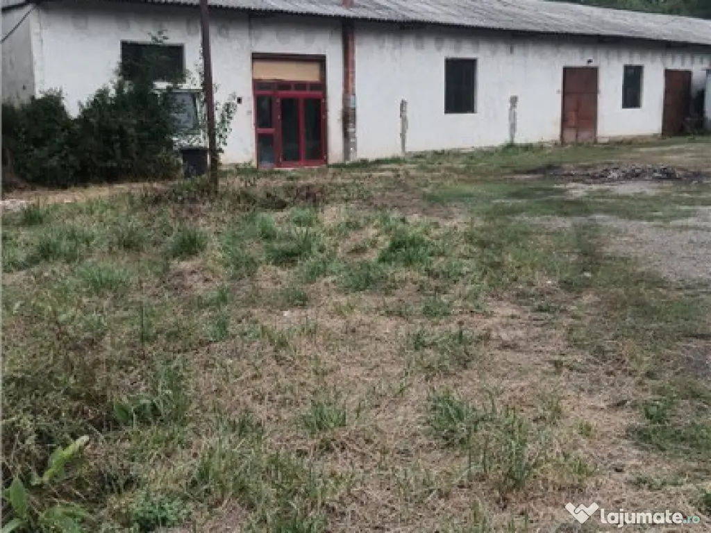 RECO Hale predestinate prelucrarea lemnului, loc. Auseu, sat