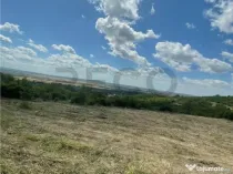 RECO Teren Extravilan Podgoria Oradea