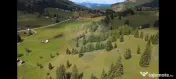 Teren de 14318m.p. în Paltinis, la 100m de strada Princi... 