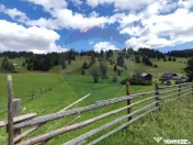 Teren de 14318m.p. în Paltinis, la 100m de strada Princi... 