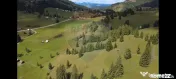 Teren de 14318m.p. în Paltinis, la 100m de strada Princi... 