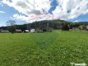 Teren de 14318m.p. în Paltinis, la 100m de strada Princi... 