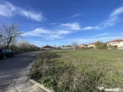 Domnești, Curtea Domneasca teren 2572mp, deschidere 44ml, u 