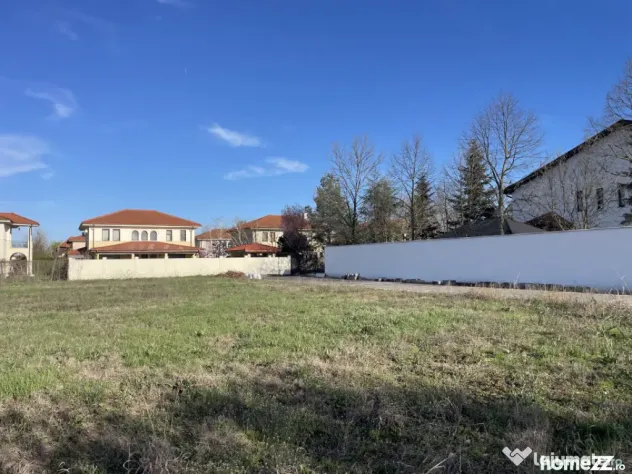 Domnești, Curtea Domneasca teren 2572mp, deschidere 44ml, u
