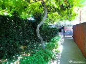 Palazu Mare - Strada Gheorghe Baritiu 16, casa cu teren d... 