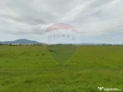 Teren intravilan 2000 mp – Strada Cucului, Brașov 