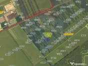 Teren intravilan 2000 mp – Strada Cucului, Brașov 