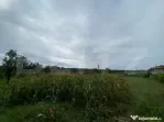 Teren intravilan de vânzare, 2.691 mp – Mărișelu, jude?