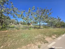 Teren intravilan,1000 mp,toate utilitatile,Penny Micesti