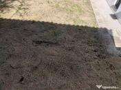 Casa individuala, semifinsata, Floresti 