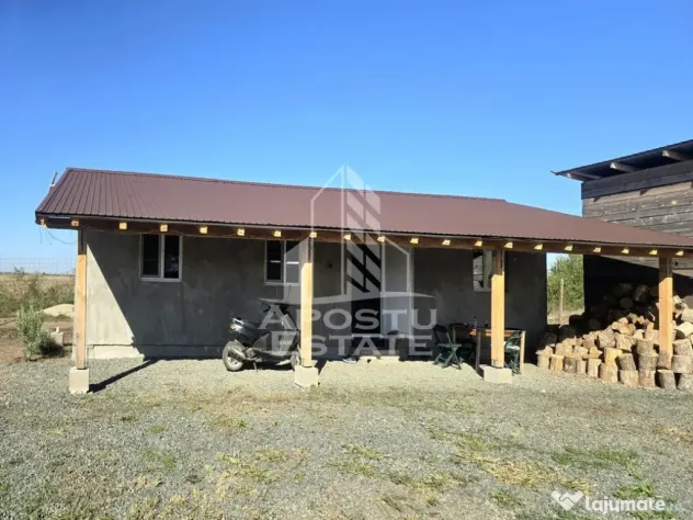 Fermă cu casa, zero comision, in Horia - Horia (Arad)
