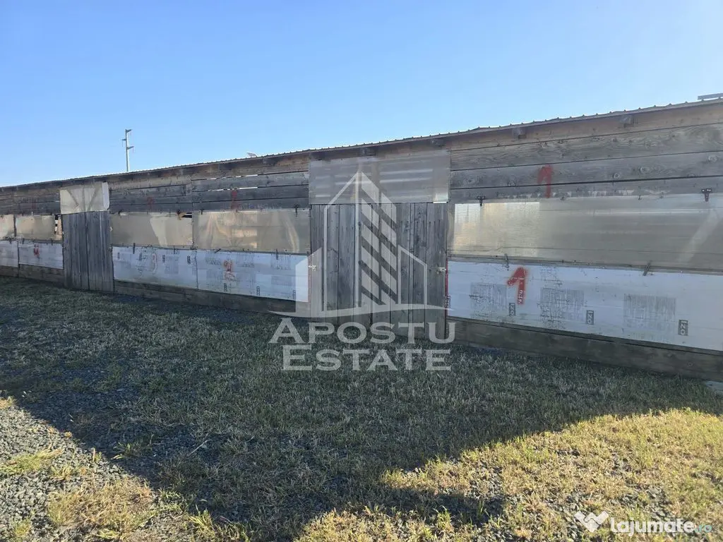 Fermă cu casa, zero comision, in Horia - Horia (Arad)