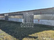 Fermă cu casa, zero comision, in Horia 
