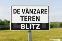 Teren intravilan de vanzare, 5.000 mp, zona Schit-Oraseni