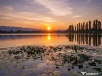 TEREN SILISTEA SNAGOVULUI 5000mp iesire LAC 30ml