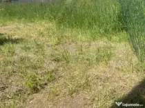 Teren intravilan în Vatra Dornei, 1000 mp