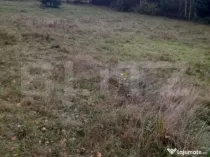 Teren intravilan de vanzare, 2280 mp, Vatra Dornei