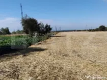 Teren Isalnita intravilan, 2500 mp, toate utilitatile