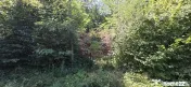 Teren intravilan de vanzare in Lunca Mare (la 10 km de Va... 
