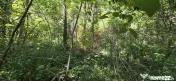 Teren intravilan de vanzare in Lunca Mare (la 10 km de Va... 