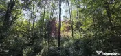 Teren intravilan de vanzare in Lunca Mare (la 10 km de Va... 