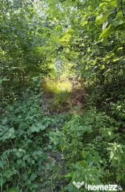 Teren intravilan de vanzare in Lunca Mare (la 10 km de Va... 