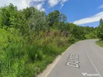 Teren intravilan de vanzare in Lunca Mare (la 10 km de Va...