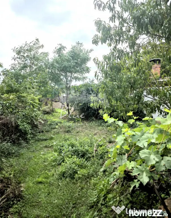 Teren cu casă demolabilă sau renovabila în Valu lui Traia