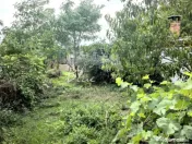 Teren cu casă demolabilă sau renovabila în Valu lui Traia 