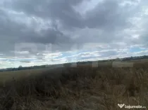 Teren extravilan, 2500 mp, zona Lucieni