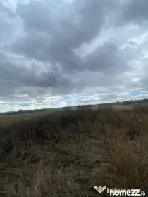 Teren extravilan, 2500 mp, zona Lucieni