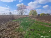 Teren Frumusani DN4 2000 mp + 5000 mp deschidere Lac Pasarea 