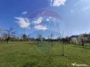 Teren intravilan pentru casă Cărbunari 