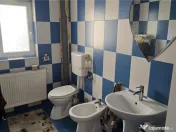 Casa si Spatiu Comercial Luncusoara Suceava De 