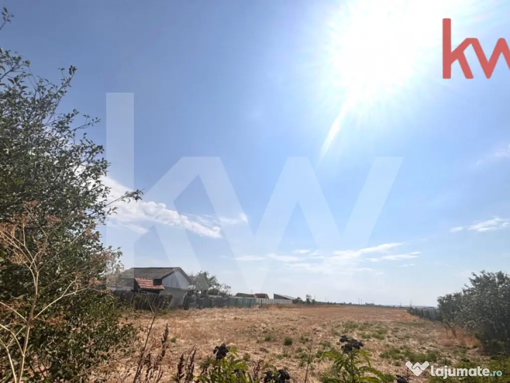 Teren de vânzare – liniște, spațiu și libertate, Zona