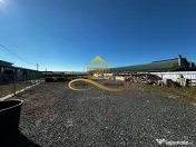 Hala de inchiriat 250 mp si spatiu ideal service AUTO Buh... 