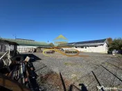 Hala de inchiriat 250 mp si spatiu ideal service AUTO Buh... 