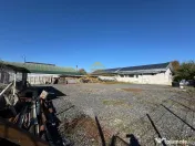 Hala de inchiriat 250 mp si spatiu ideal service AUTO Buh... 