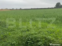 Teren intravilan, 1213 mp, front 24 ml, la ieșirea din Suce