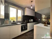 Vila moderna casa renovata cu 2 apartamente si teren gener 