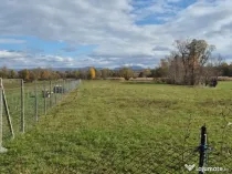 Chechis, 27 ari teren intrav.