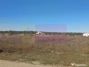 Săbăreni, teren rezidential 6290 mp, cu 52m FS, utilita... 