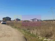 Săbăreni, teren rezidential 6290 mp, cu 52m FS, utilita... 