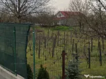 Teren Intravilan Parcelabil, Malu Mare, oportunitate de inve