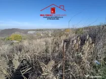 Teren de vanzare - Vararie- str. Taberei Balta !