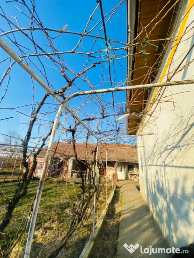 Casa pe parter, 2.753 mp teren, Marotinu de Sus, Celaru