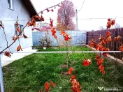 Casa in Mitocul Dragomirnei 