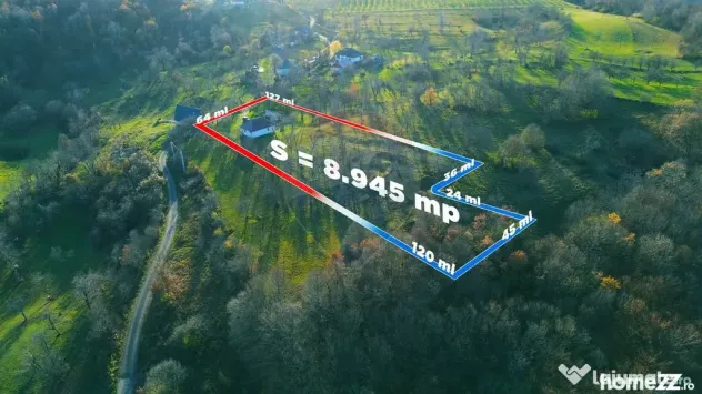 Casa traditionala cu teren 8.945 mp de vanzare | Franceni...