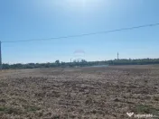 Teren de vânzare – Balotești, Strada Lacului, ansambl... 