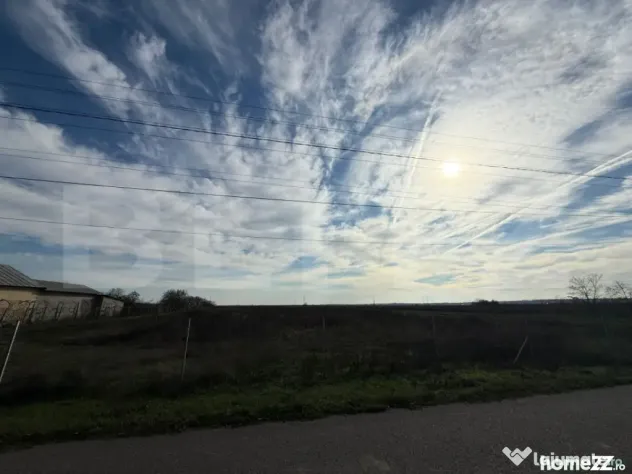 Teren 19.240 mp Geangoesti, Dambovita - Dragomiresti (Dambovita)